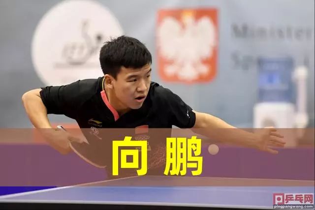 多样性都是 多样性都是